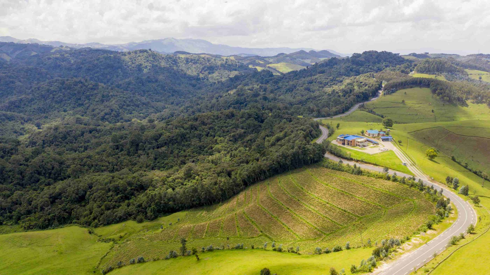 PHOTO: INTERNET PHOTO: INTERNET